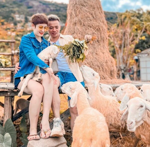 Tour Đồng Cừu - Vườn Nho