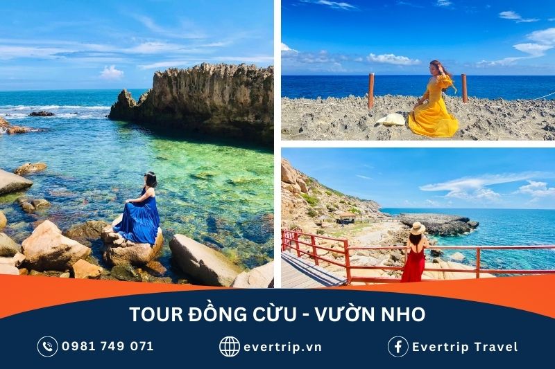 tua hang rai vinh hy