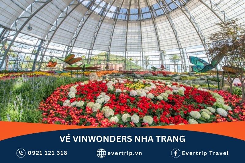 đặt combo vé vinwonder nha trang