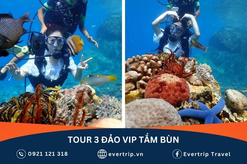 lặn biển tại bãi tranh trong tour 3 đảo vip