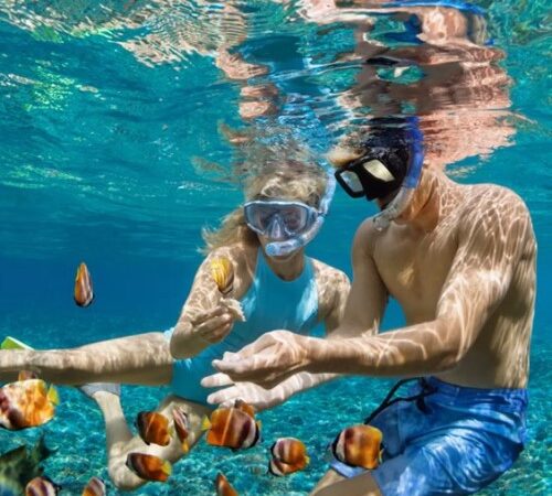 Snorkeling