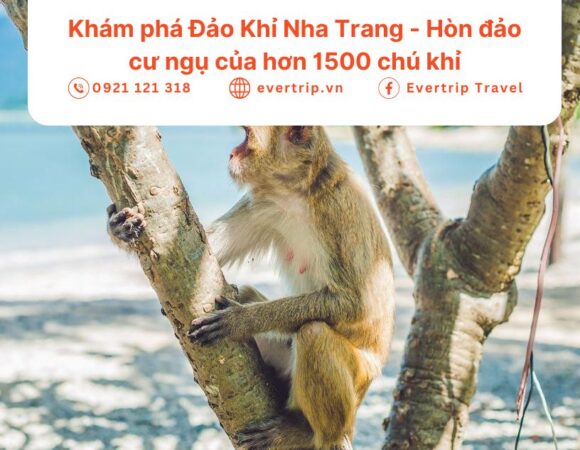 Khám phá Đảo Khỉ Nha Trang – Hòn đảo cư ngụ của hơn 1500 chú khỉ