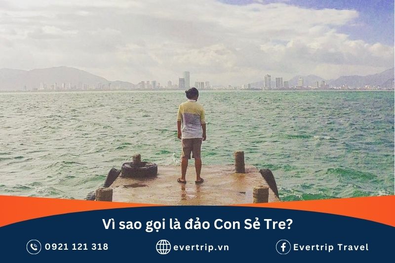 vì sao gọi là con sẻ tre