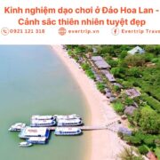 ảnh bìa đảo hoa lan