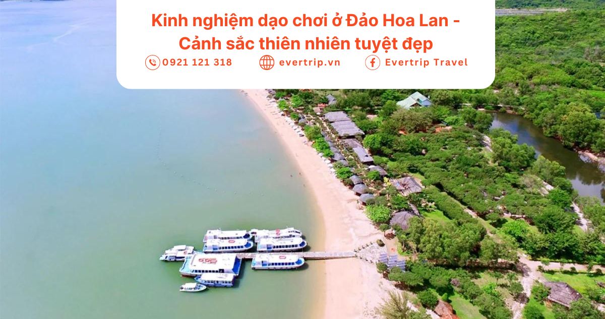 ảnh bìa đảo hoa lan