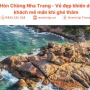 ảnh bìa hòn chồng