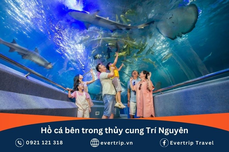 cách đi hồ cá trí nguyên