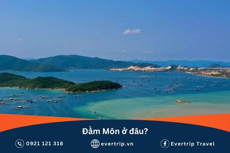 đầm môn ở đâu