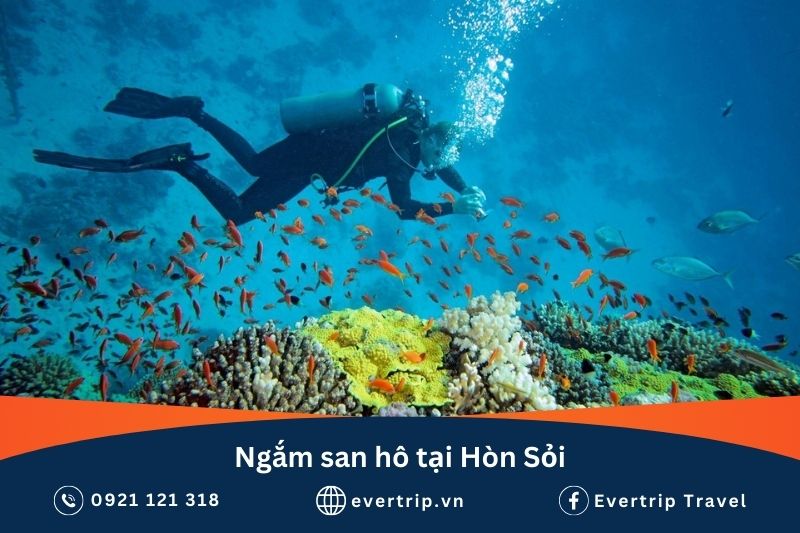 đảo hòn sỏi nha trang