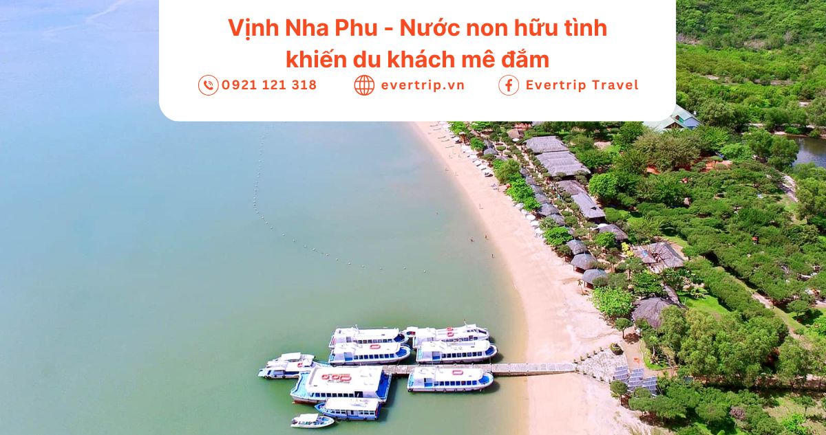 vịnh nha phu