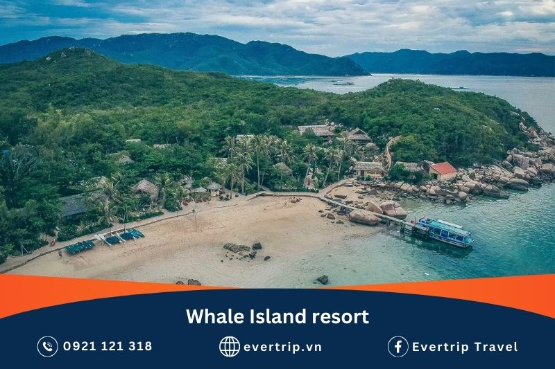 whale island resort