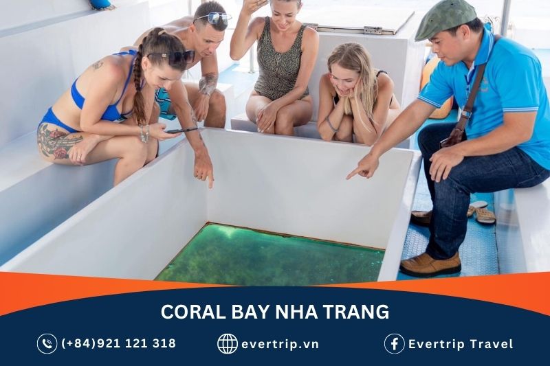 tourists on glass-bottom boat watching coral in nha trang