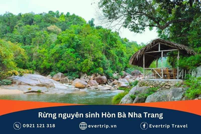 rừng nguyên sinh tại hòn bà nha trang