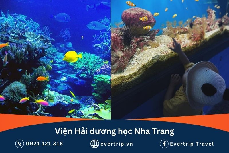 địa điểm check-in nha trang