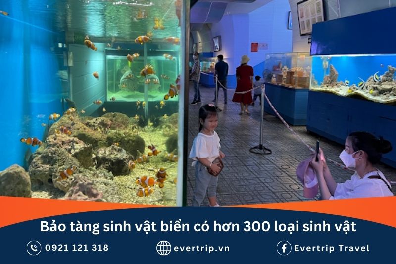 giá vé viện hải dương học nha trang