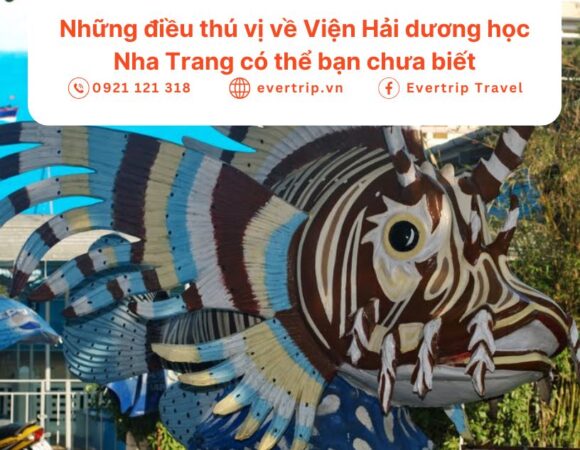 Những điều thú vị về Viện Hải dương học Nha Trang có thể bạn chưa biết