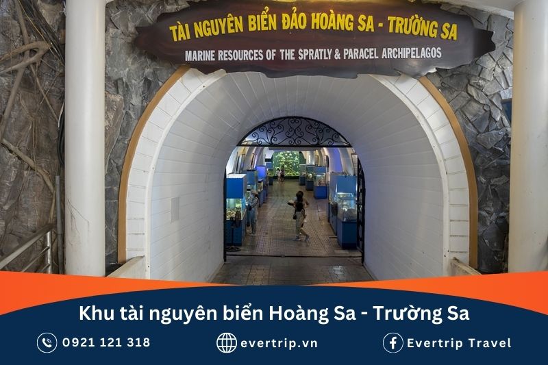 viện hải dương học nha trang giờ mở cửa