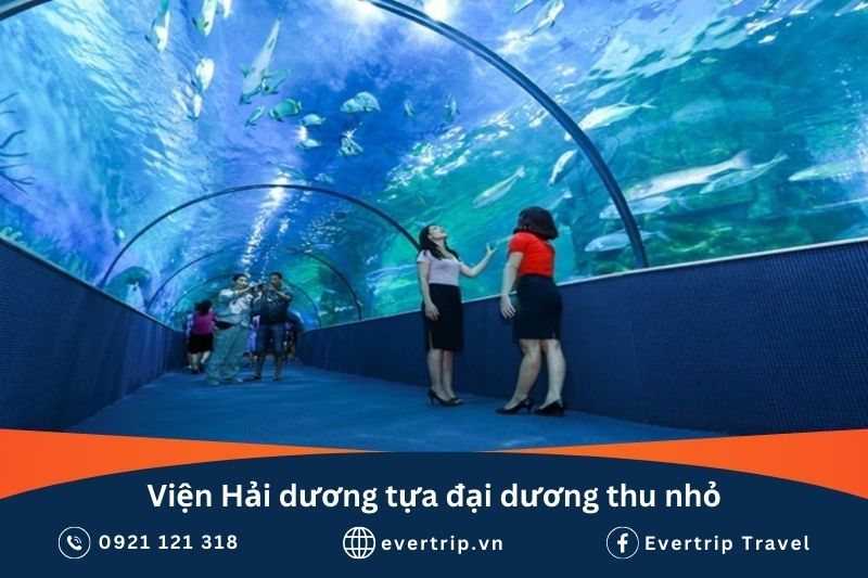 viện hải dương nha trang