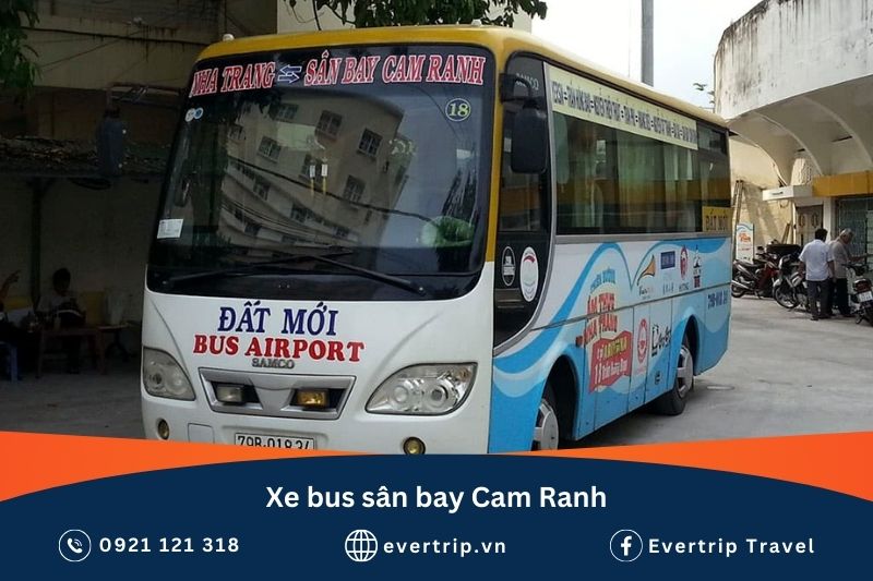 xe buýt đất mới