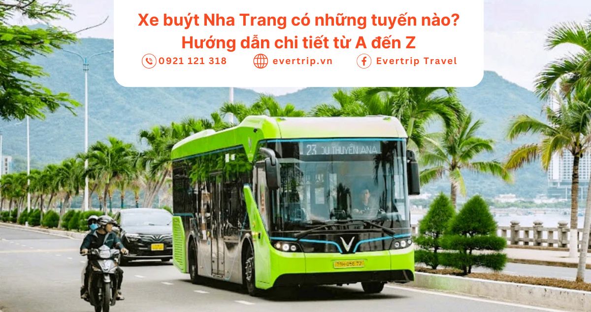 ảnh bìa xe buýt nha trang