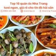 những món ốc đa dạng được chế biến ngon miệng tại quán ốc nha trang