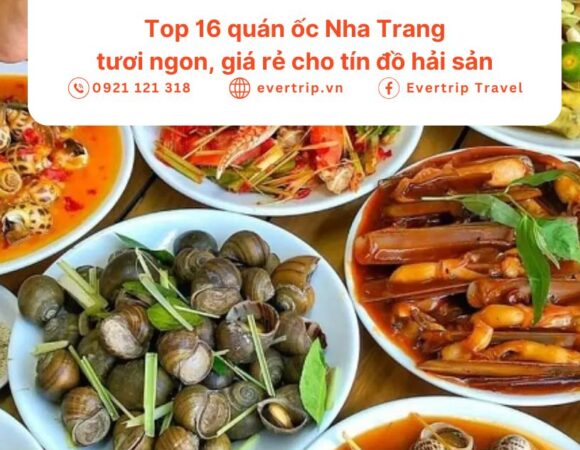 Top 16 quán ốc Nha Trang tươi ngon, giá rẻ cho tín đồ hải sản