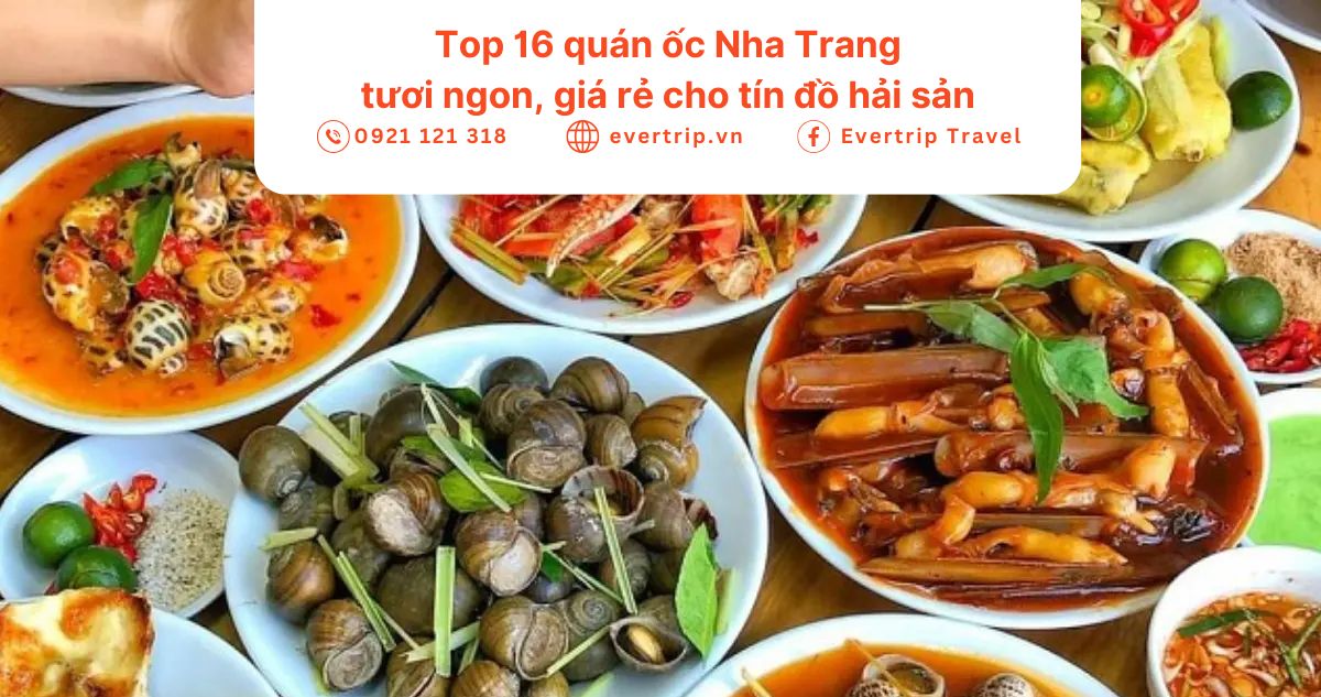 những món ốc đa dạng được chế biến ngon miệng tại quán ốc nha trang