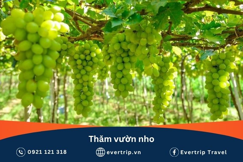 lịch trình nha trang 4 ngày 3 đêm