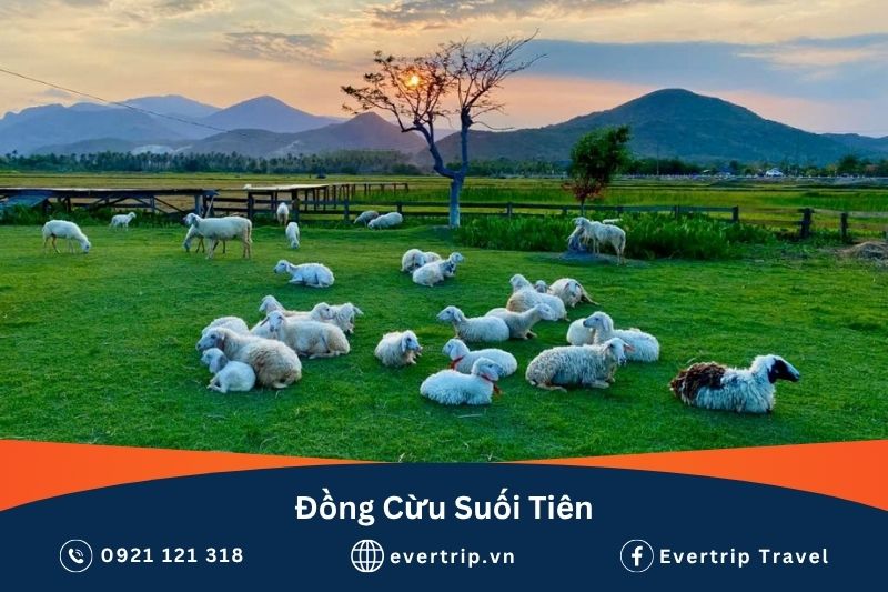nha trang 4 ngày 3 đêm