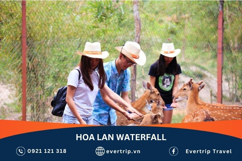 hoa lna waterfalll nha trang in september
