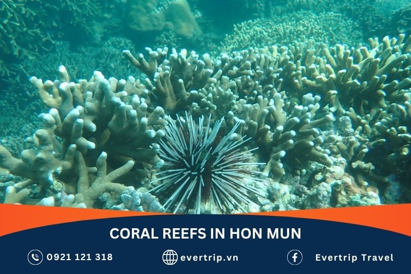 hon mun marine protected area