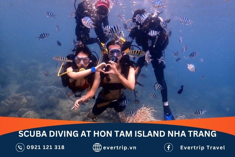 scuba diving at hon tam island nha trang